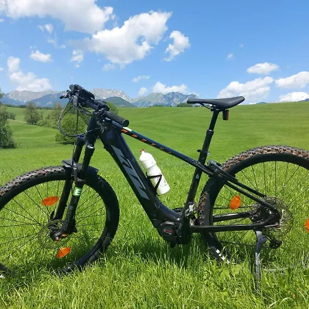 Auszeit Steiraland 8 Mit Ueberdachten Balkon Und Parkplatz Apartamento *