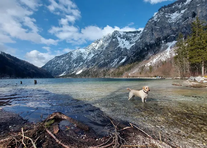Auszeit Steiraland 8 Mit Ueberdachten Balkon Und Parkplatz