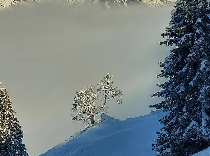 Auszeit Steiraland 8 Mit Ueberdachten Balkon Und Parkplatz 莱奥本